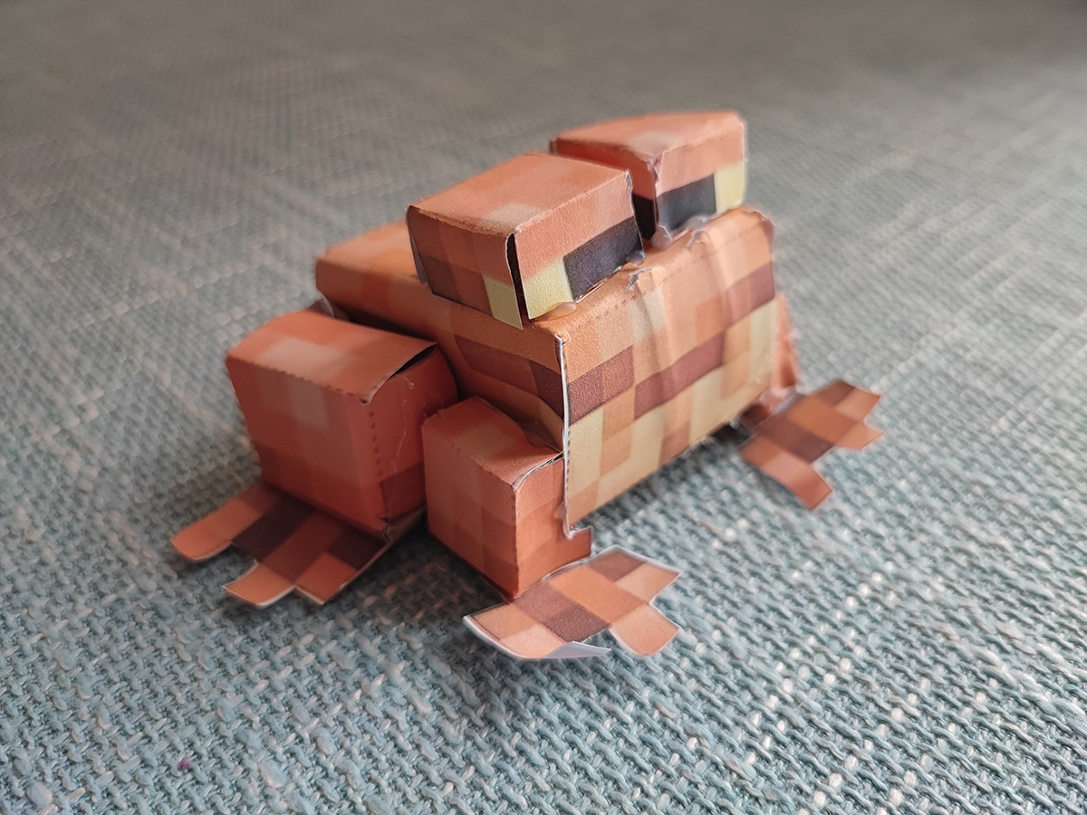 Frog by CC
